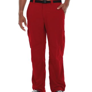 Zeppelin Yoga Pant - 36, Red